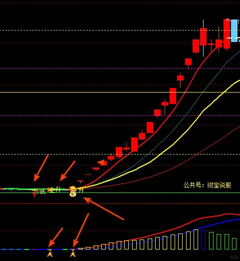 量化预测主图指标公式源码主力大单动抓主升