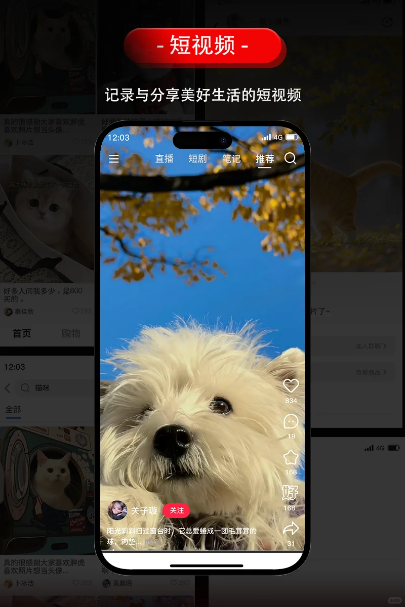 仿小红书社交系统APP开发/自研IM直播系统