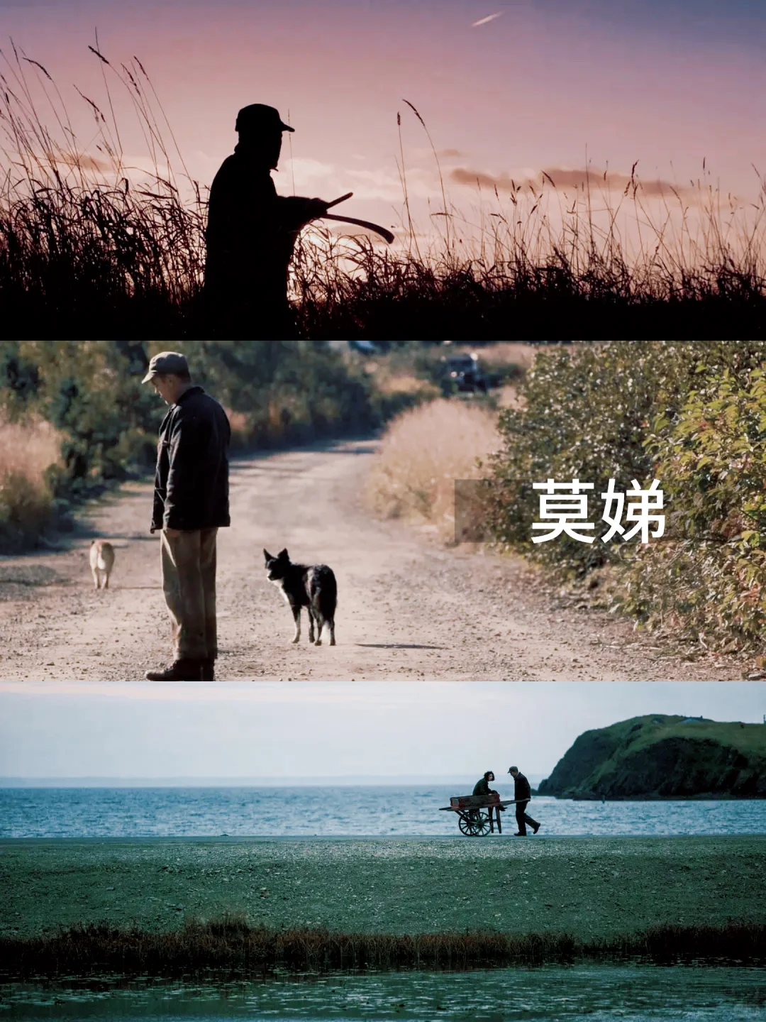 13部必看欧美治愈电影‼️第一部就封神了🔥