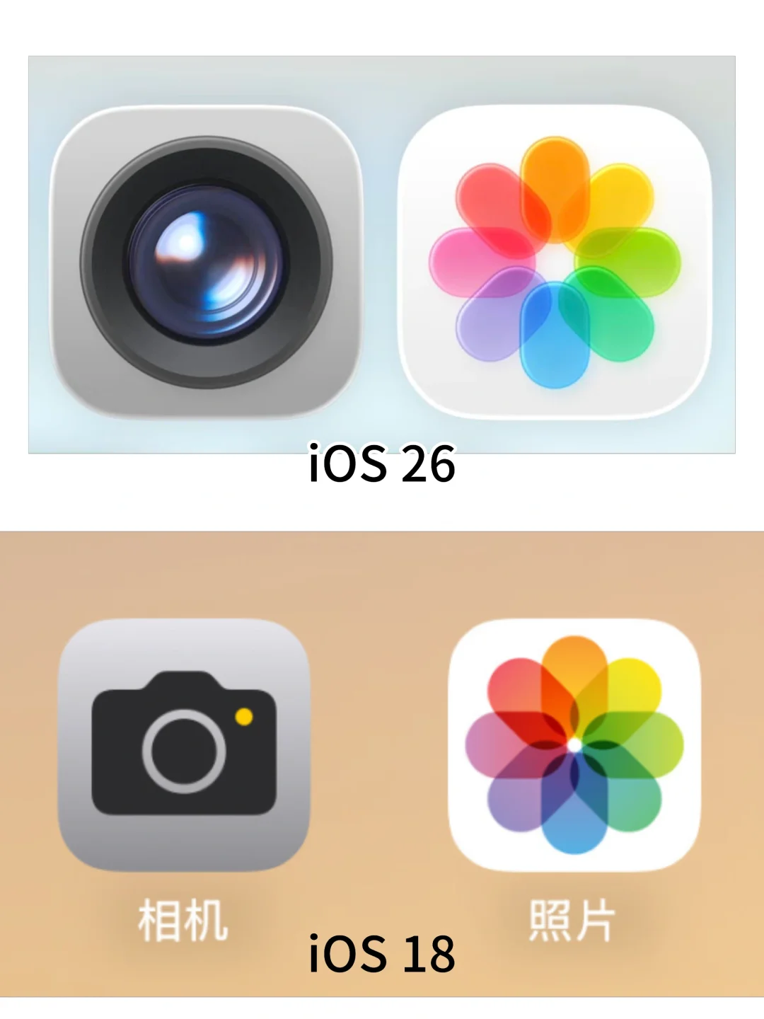 相机和照片，你更喜欢哪个？