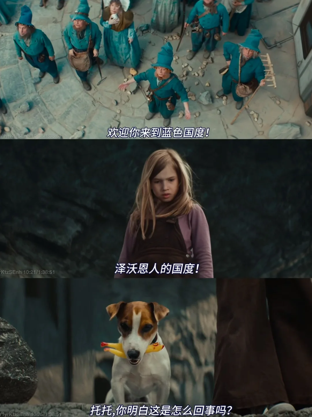 哈哈哈笑疯了🤣怎么会有这么可爱的电影啊‼️