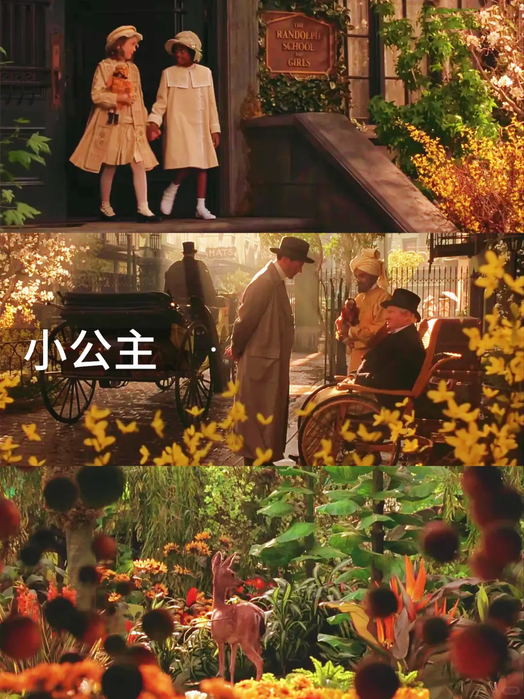 13部必看欧美治愈电影‼️第一部就封神了🔥