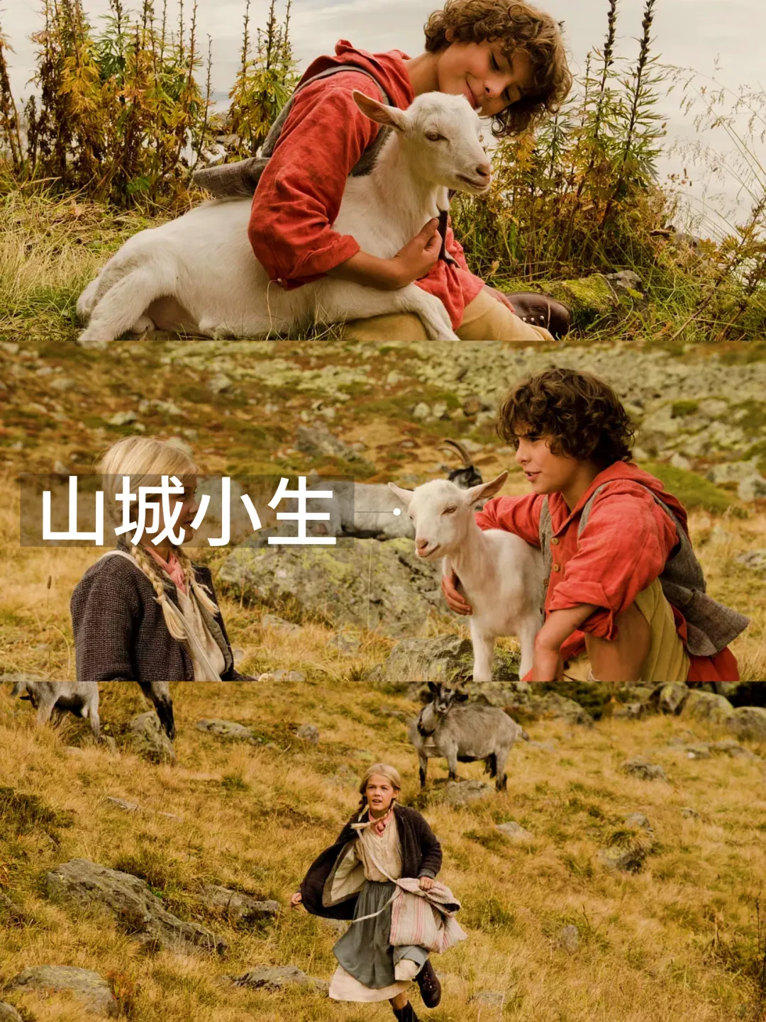 13部必看欧美治愈电影‼️第一部就封神了🔥