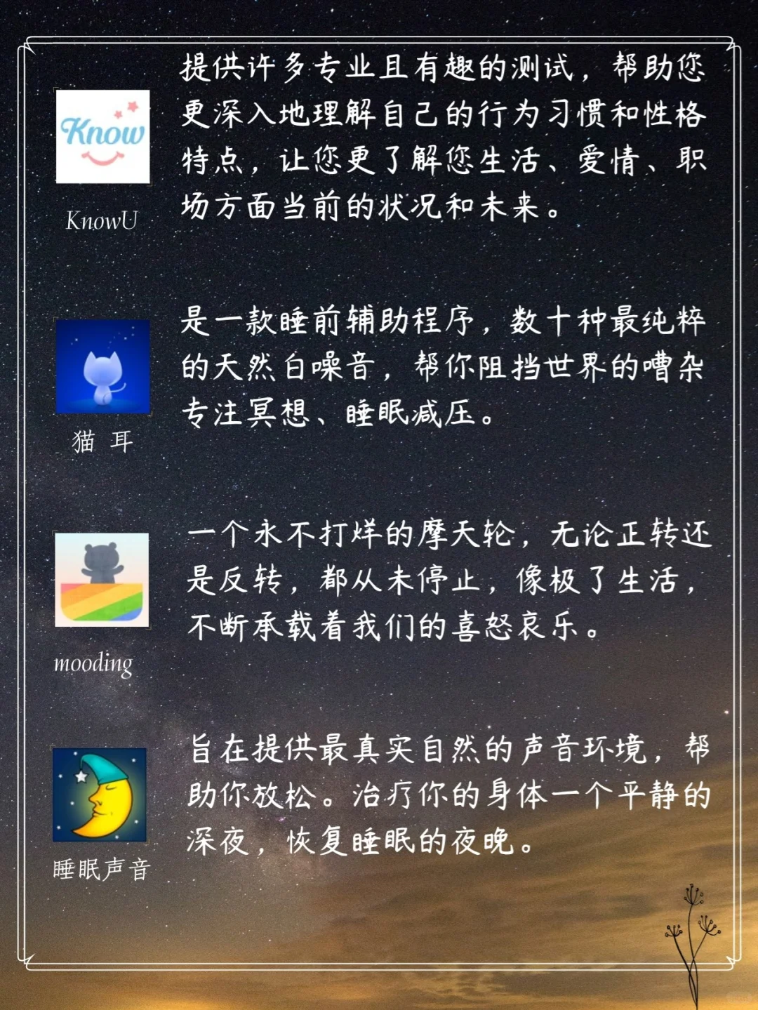 💯高级女生必备的精致实用APP‼️