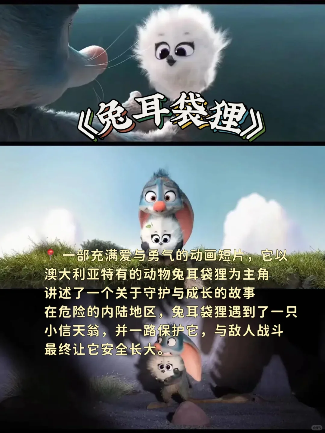 简直巨好看，巨治愈的电影