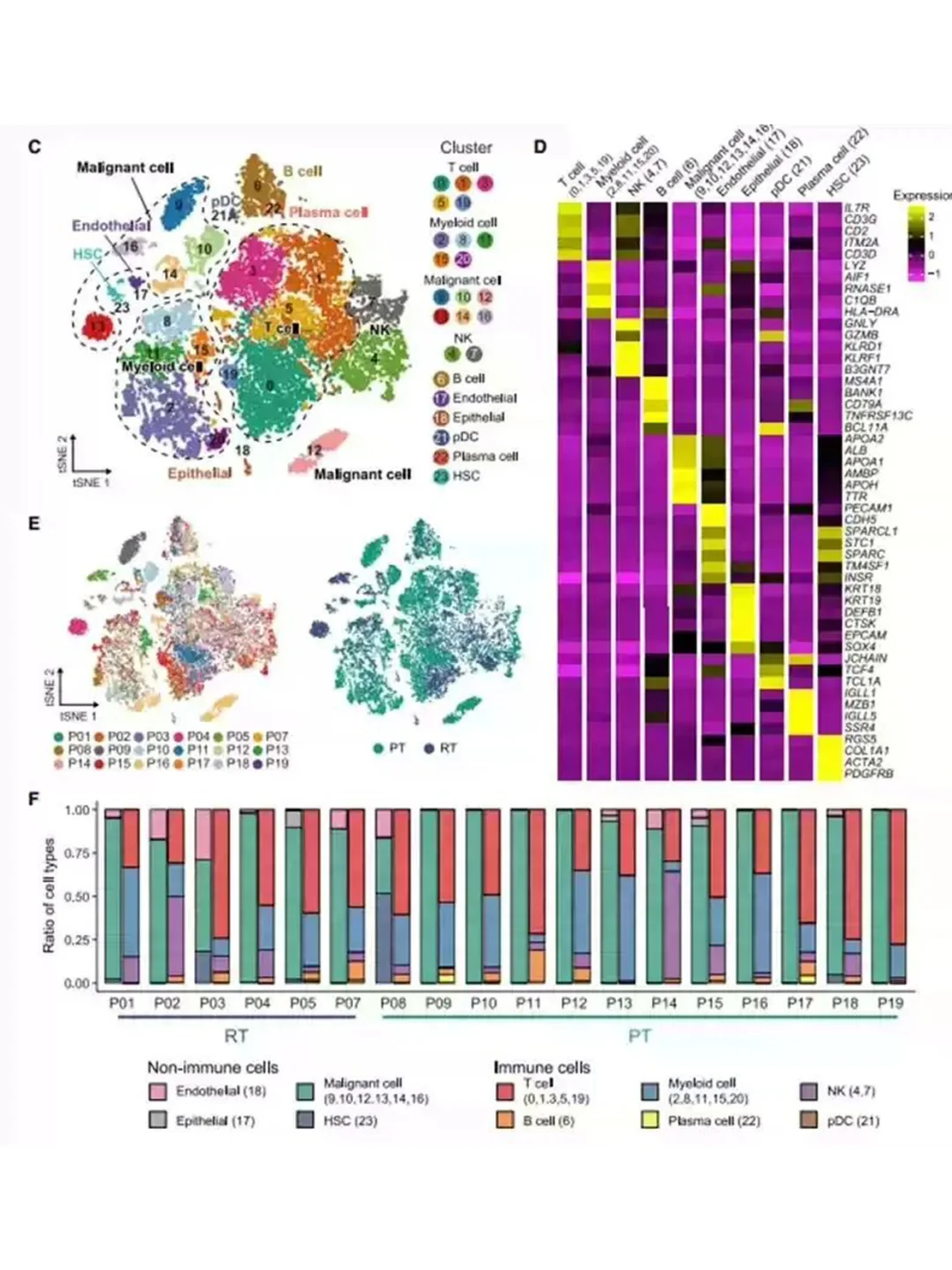 单细胞转录组scRNAseq全代码流程2026新更新