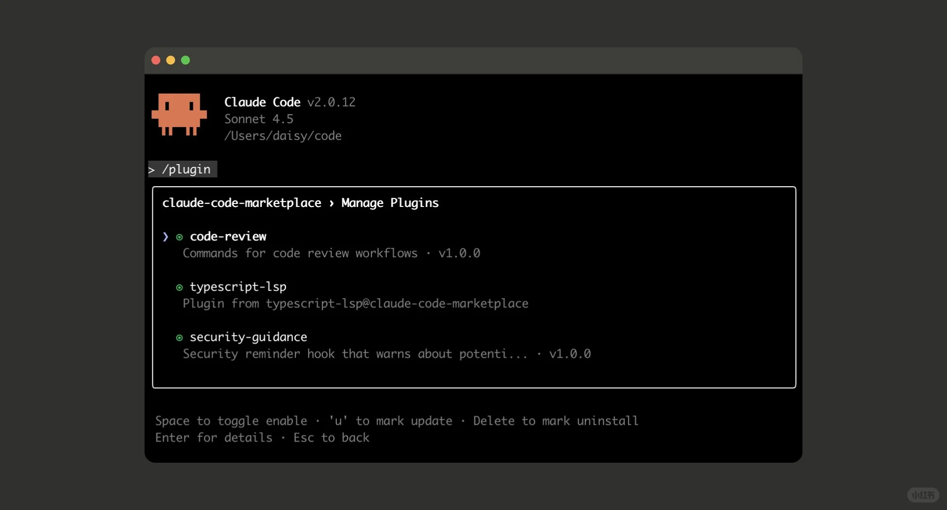 Claude Code 开放插件啦