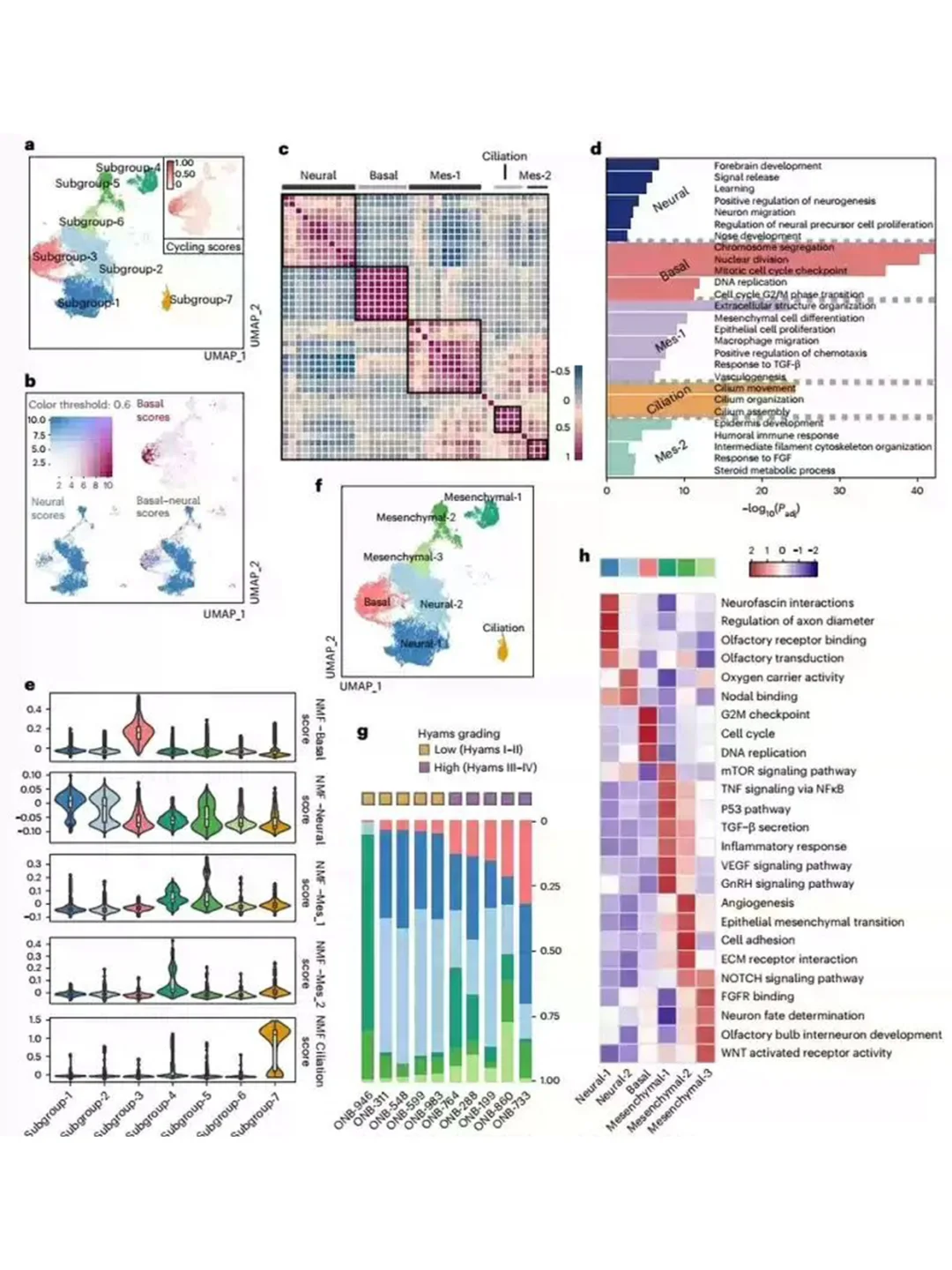 单细胞转录组scRNAseq全代码流程2026新更新