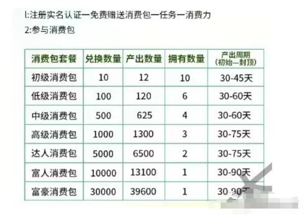 消费积分模式 定制开发源码交付