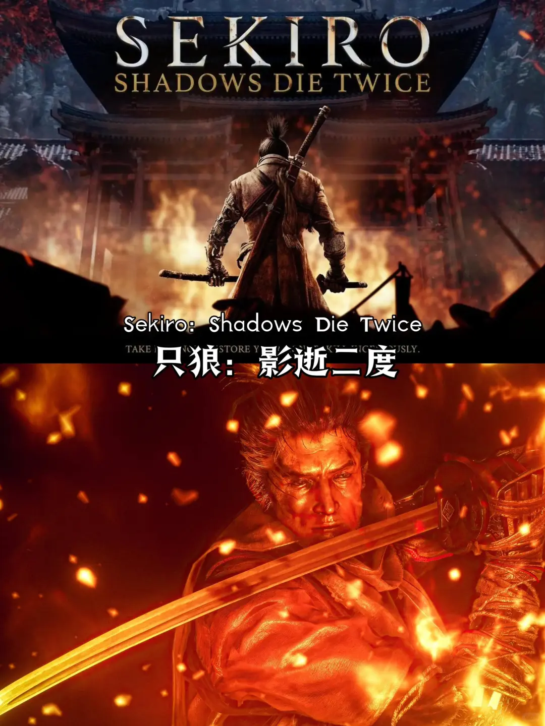 Steam热门单机游戏（最值得玩）