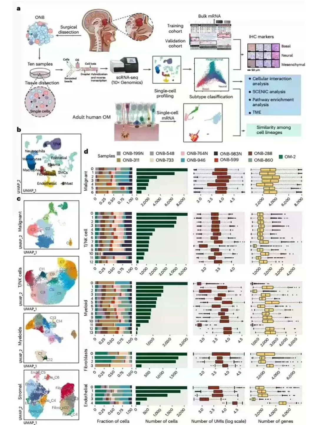 单细胞转录组scRNAseq全代码流程2026新更新