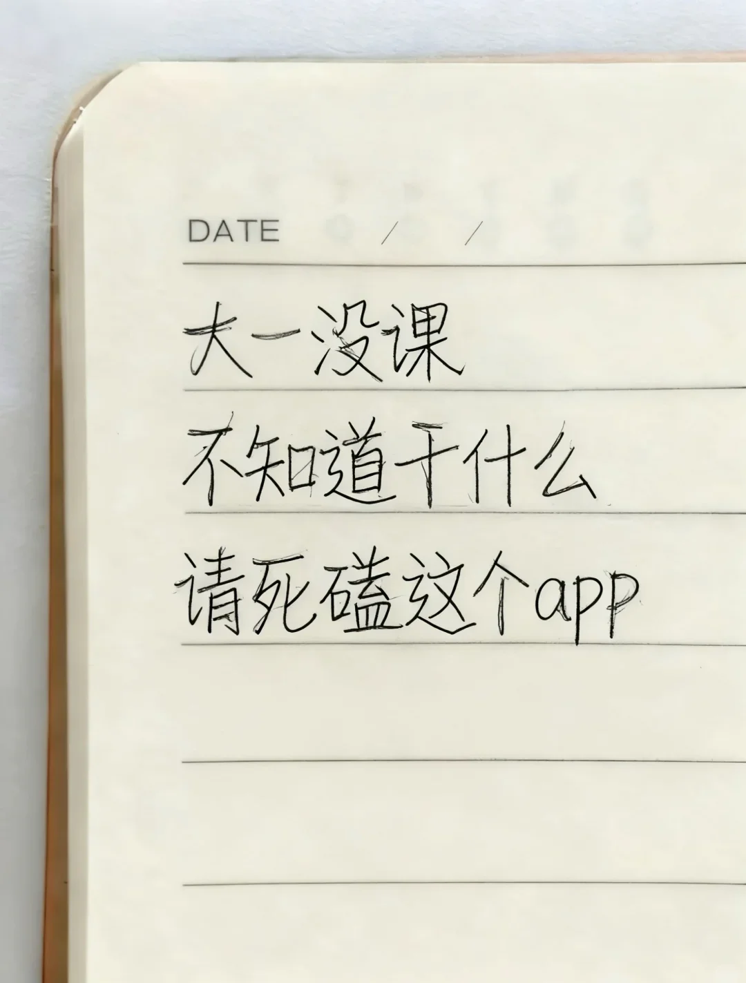 大一没课,死磕这个APP学设计❗❗