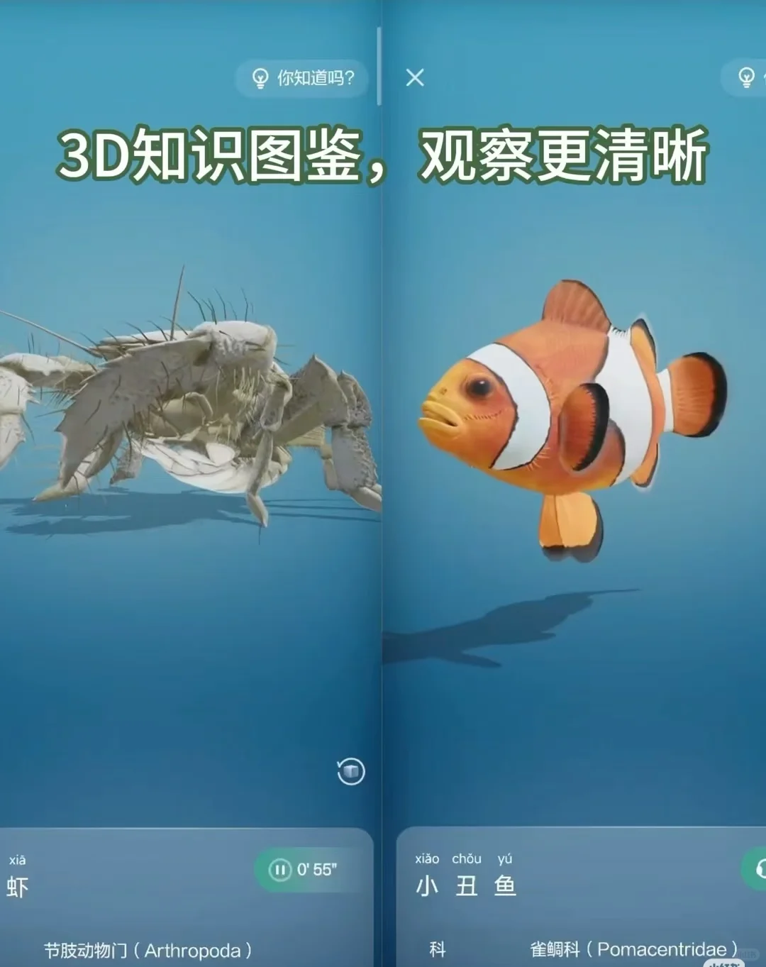 一人说一个！对孩子帮助最大的启蒙App