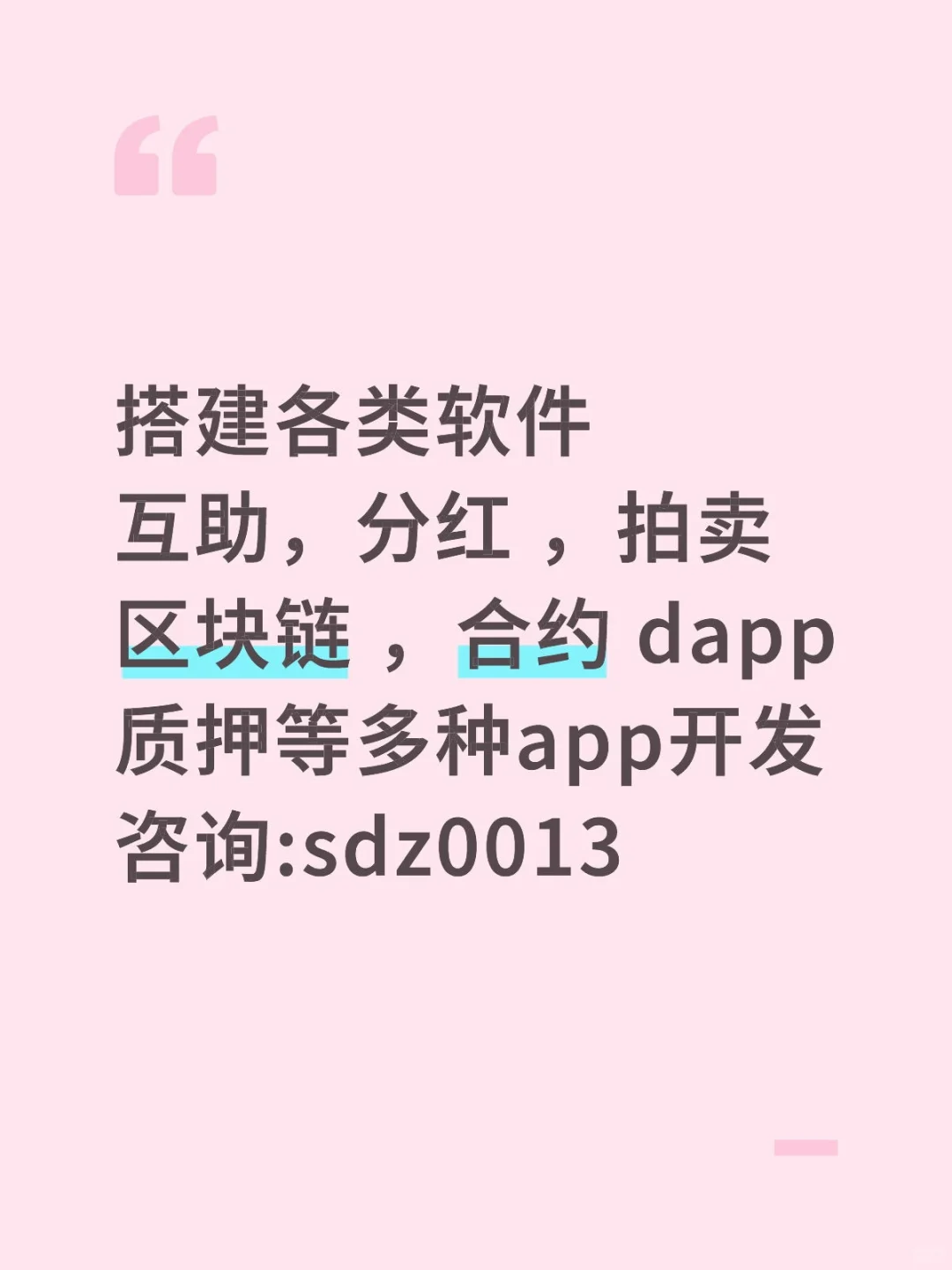 app开发 网站搭建