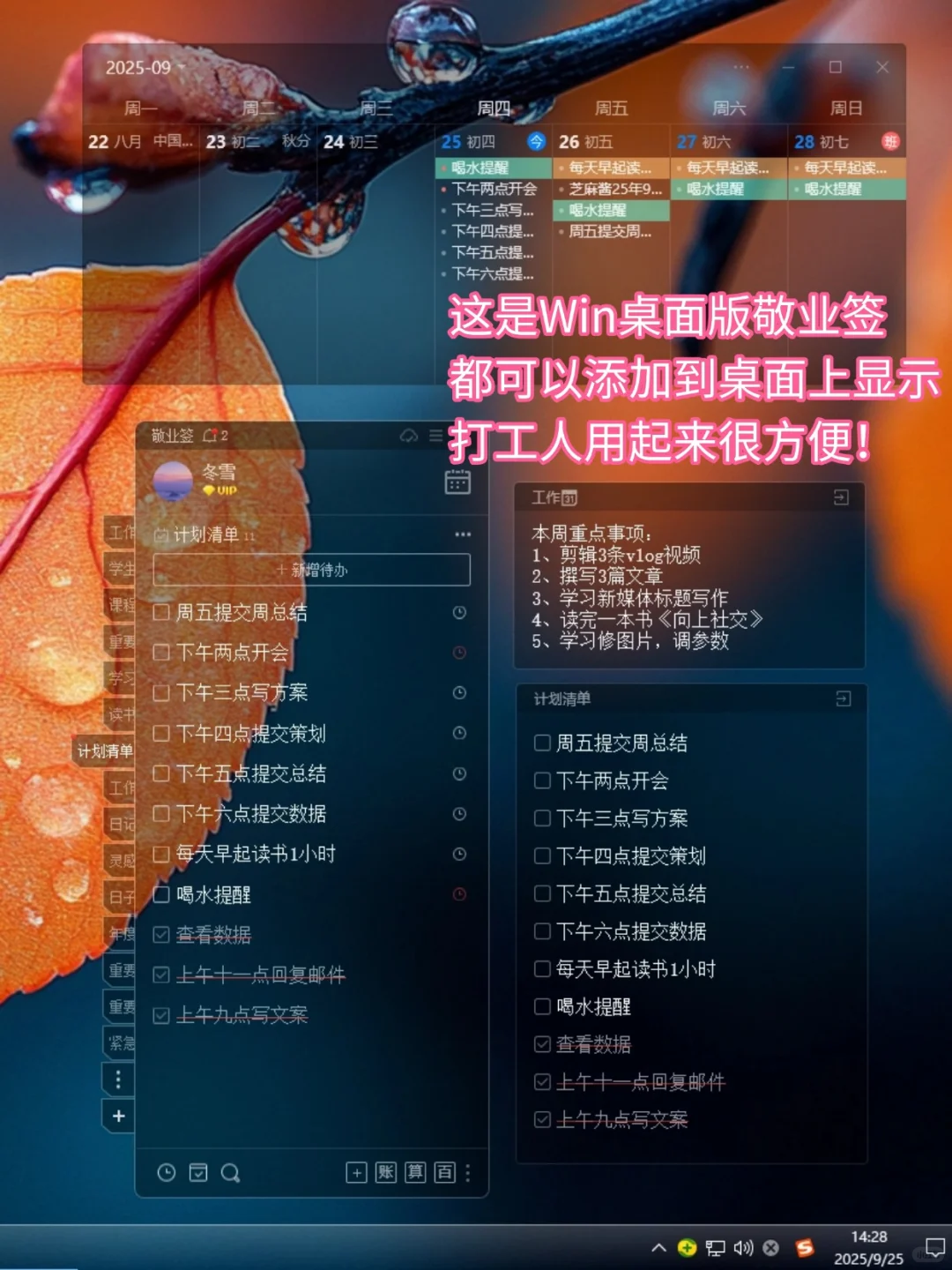 推荐大家都用这个安卓便签app