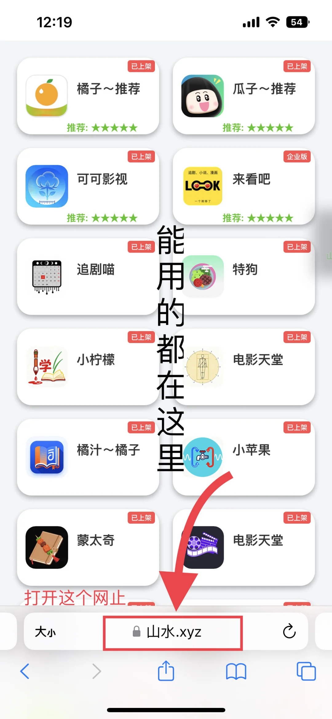 蒙太奇、瓜子、小柠檬、橘子、可可、特狗