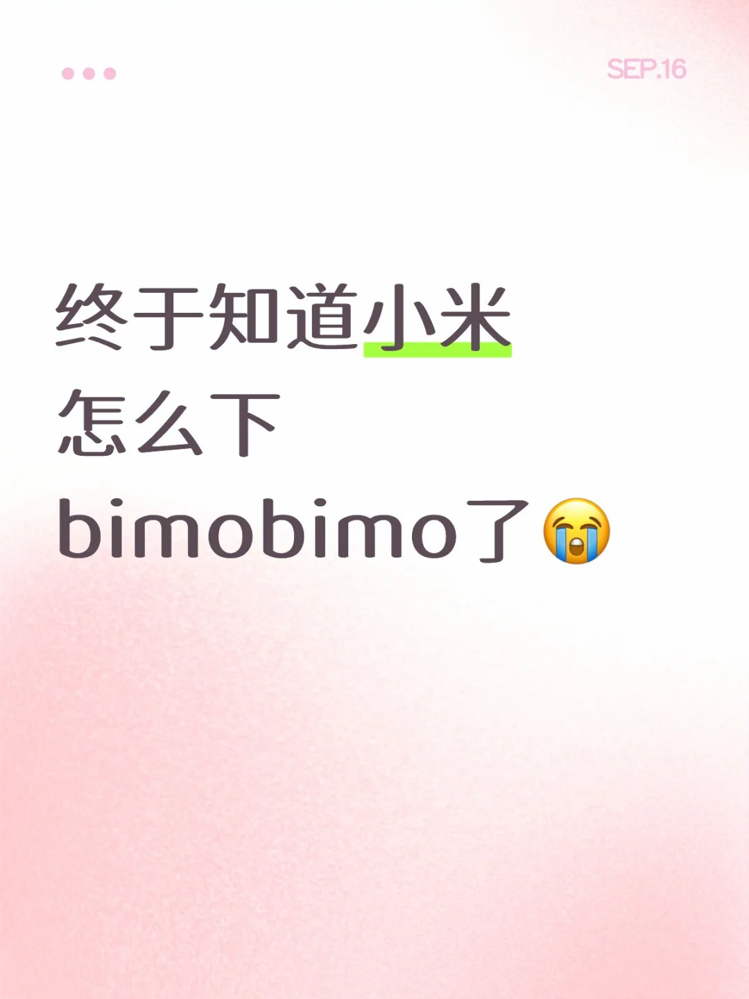 小米手机下载bimobimo