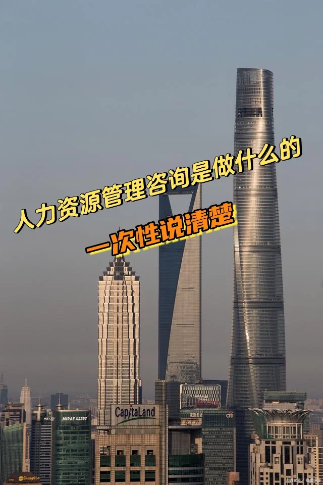 人力资源管理咨询是做什么的