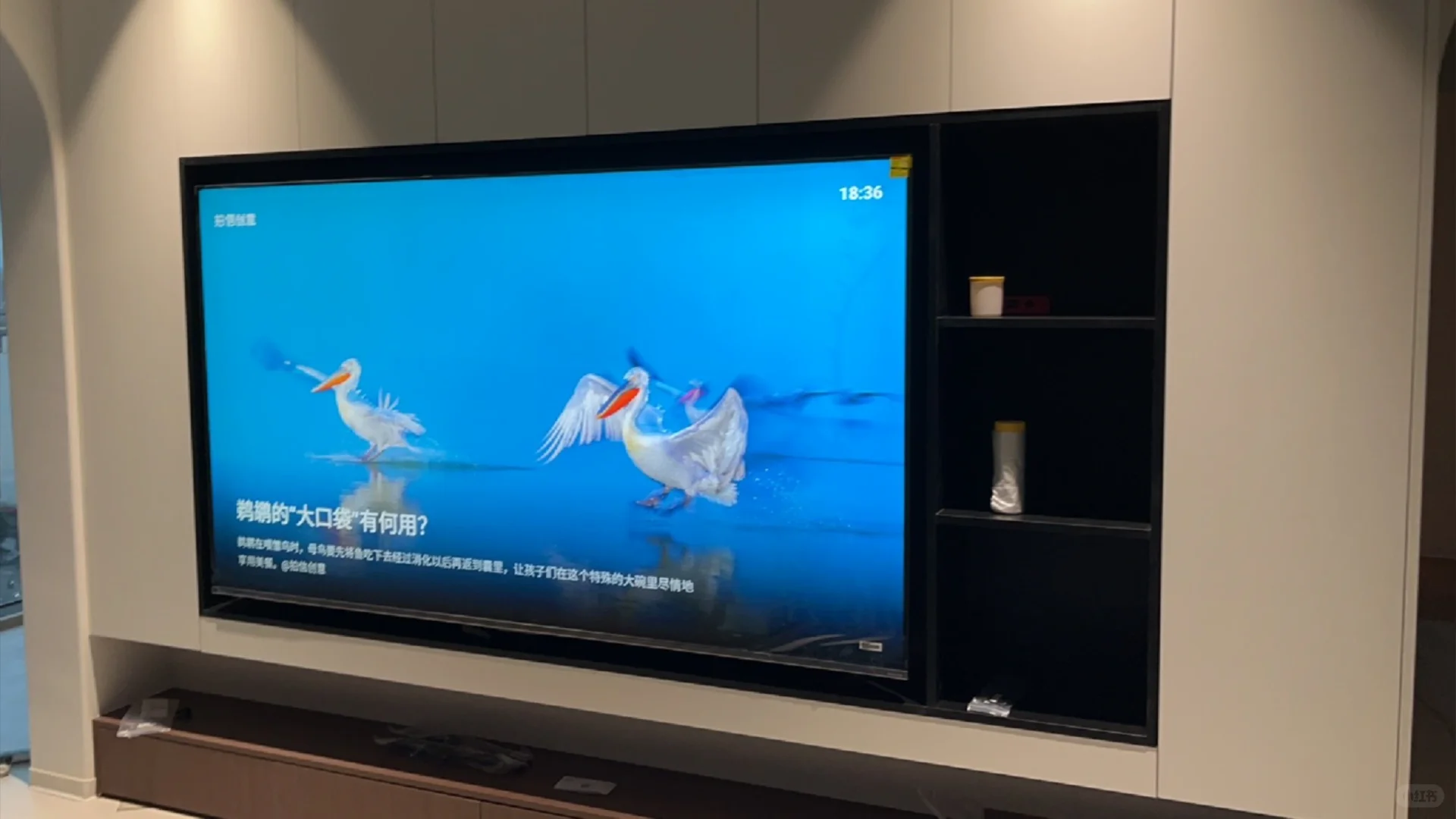 电视上墙不踩雷💣