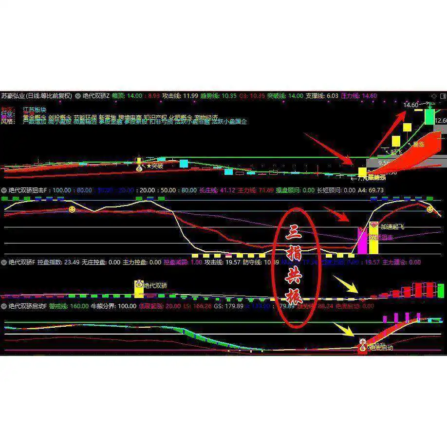 🌊绝密公式源码，涨停捕捉太稳了