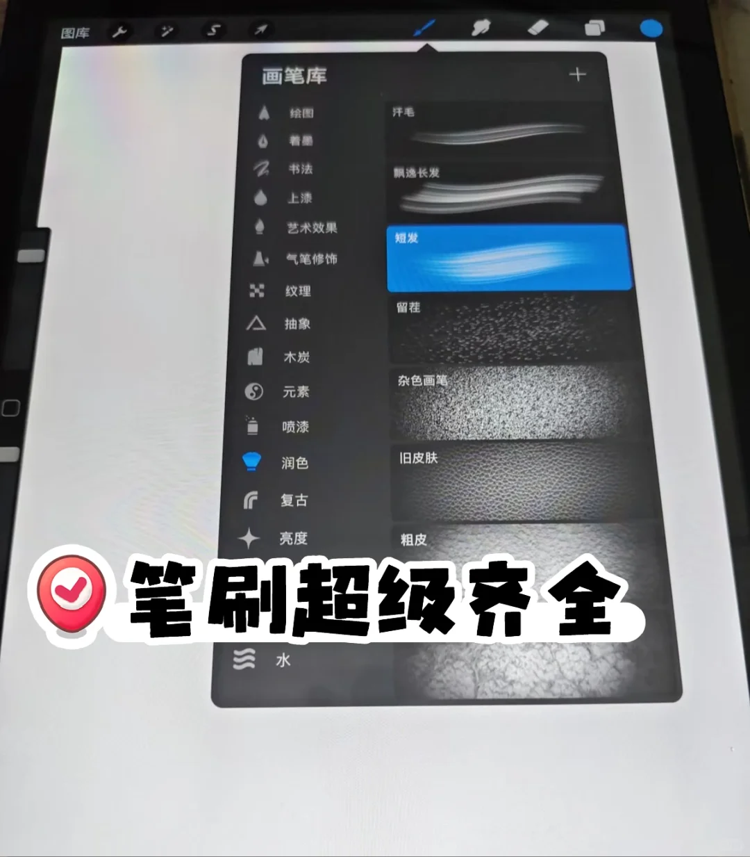 0️⃣元拿下procreate！学生党狂喜🎉