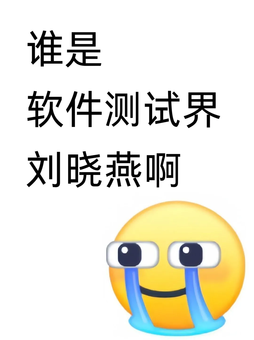 谁是软件测试界刘晓燕啊