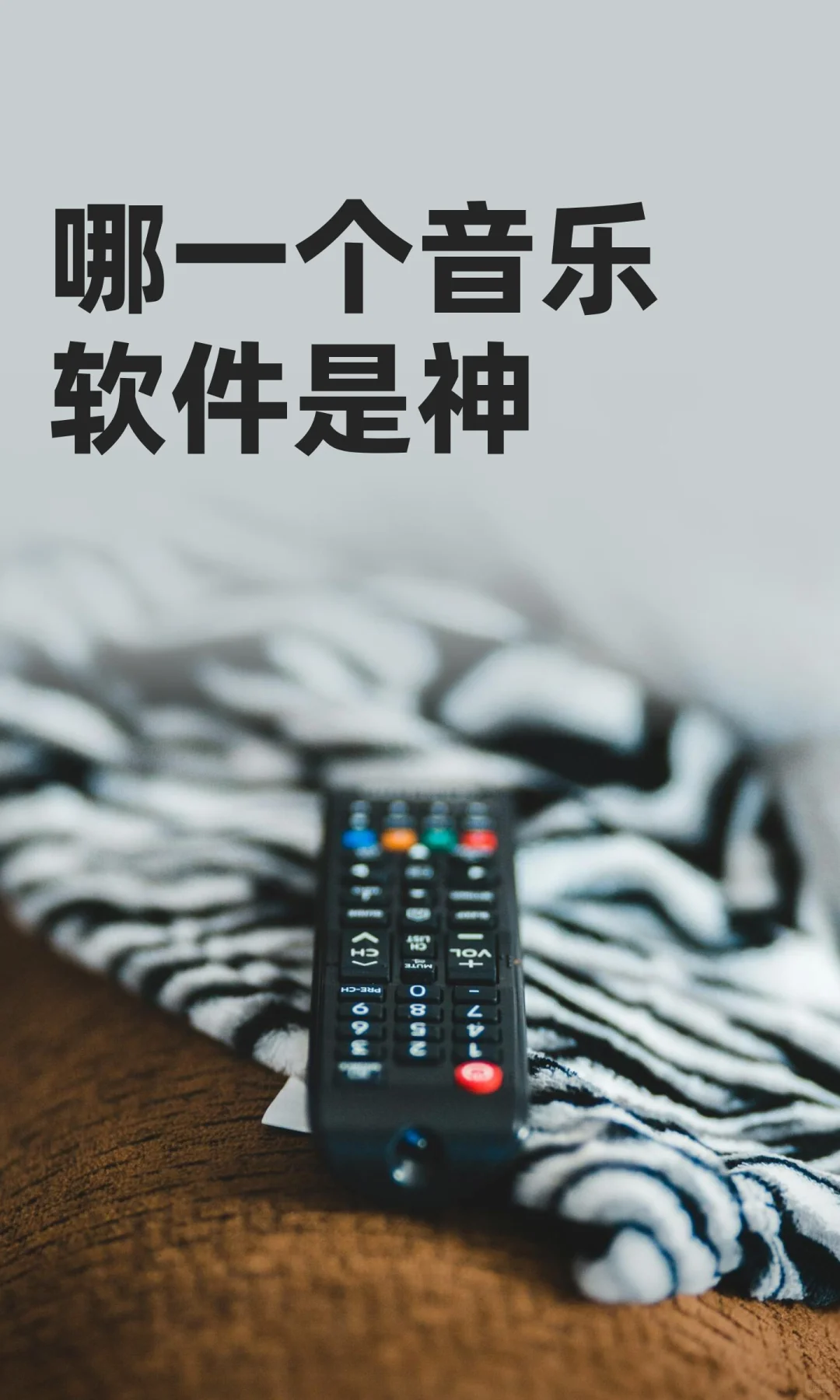 哪一个音乐软件是神