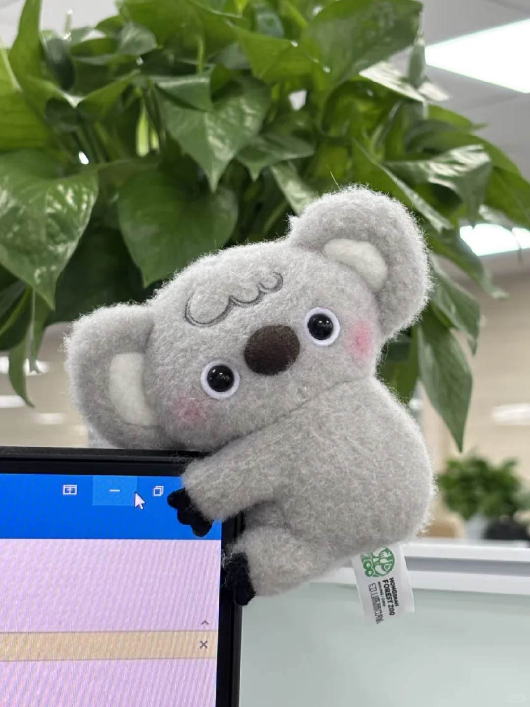 软件测试入职5个月，已脱敏！