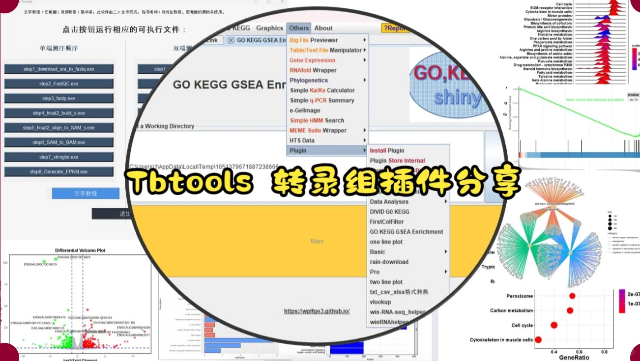 转录组分析软件 9.9