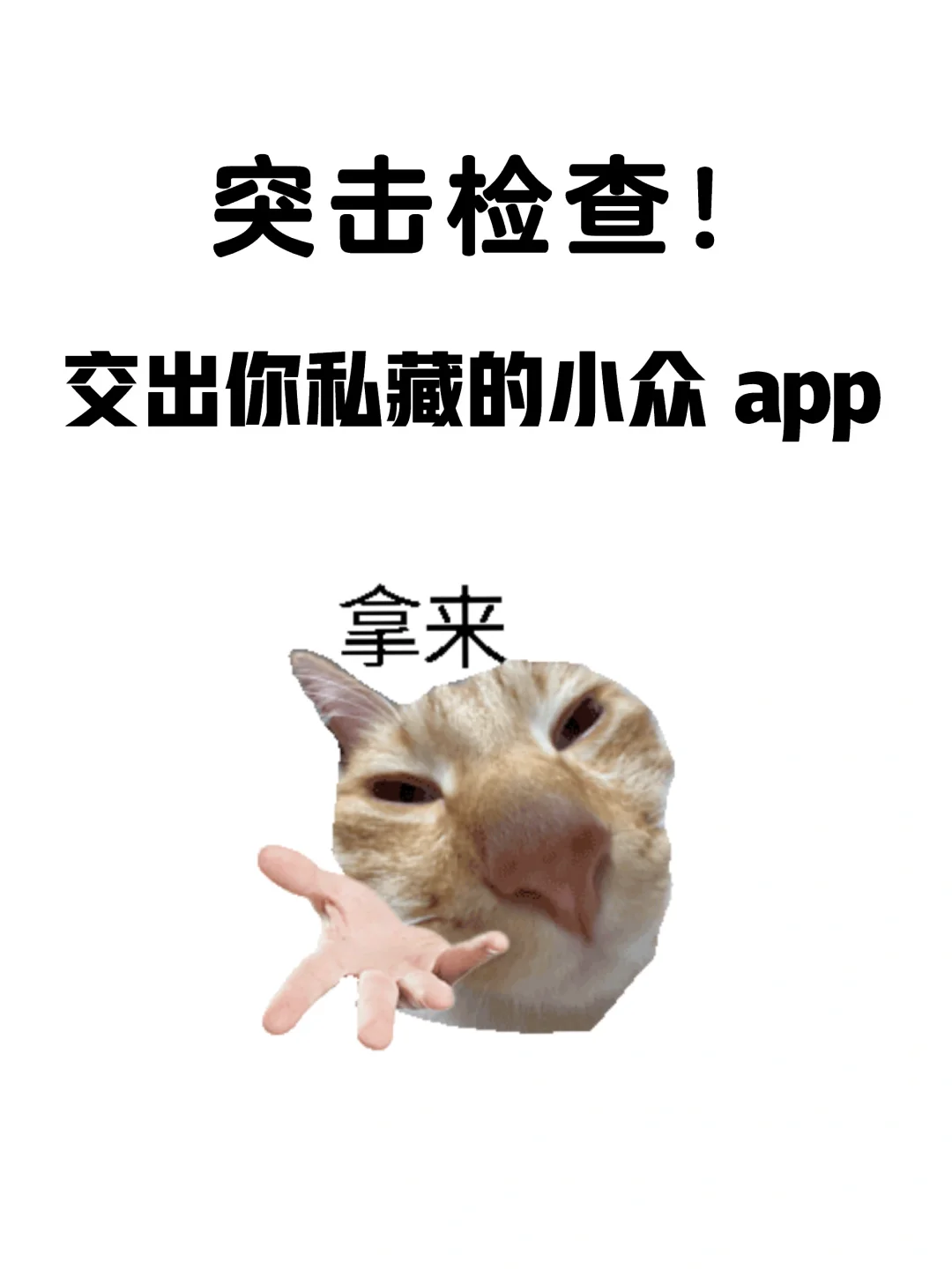交出你私藏的小众 app