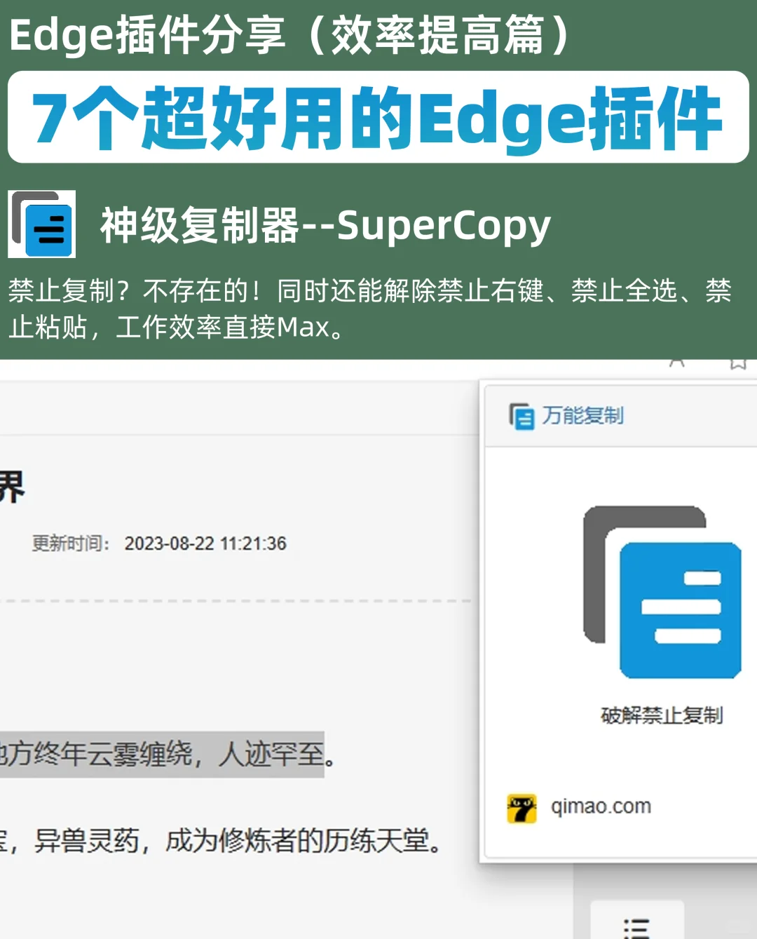 7个超好用的Edge浏览器插件，建议看完