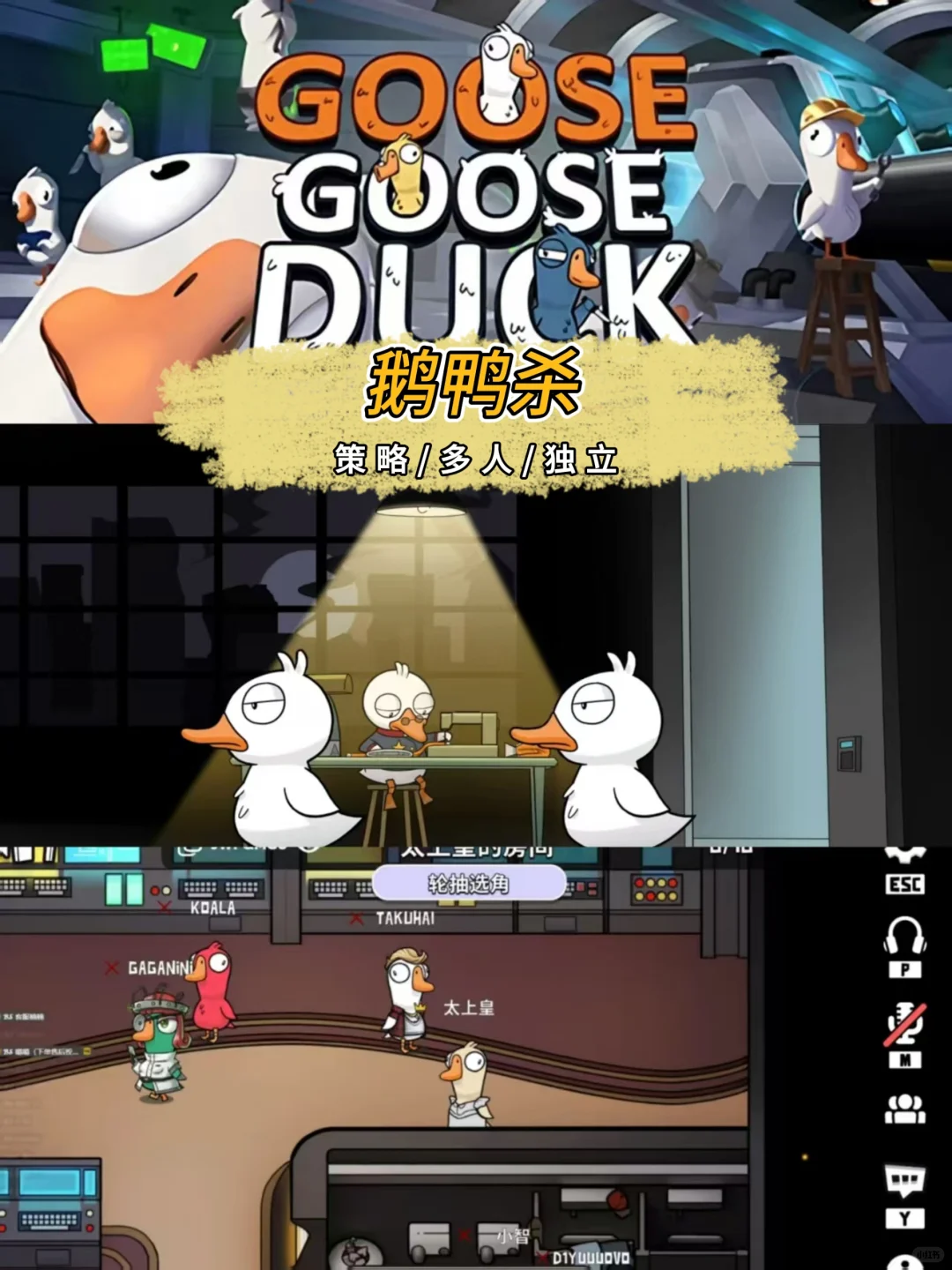 推荐十款steam上免费的游戏