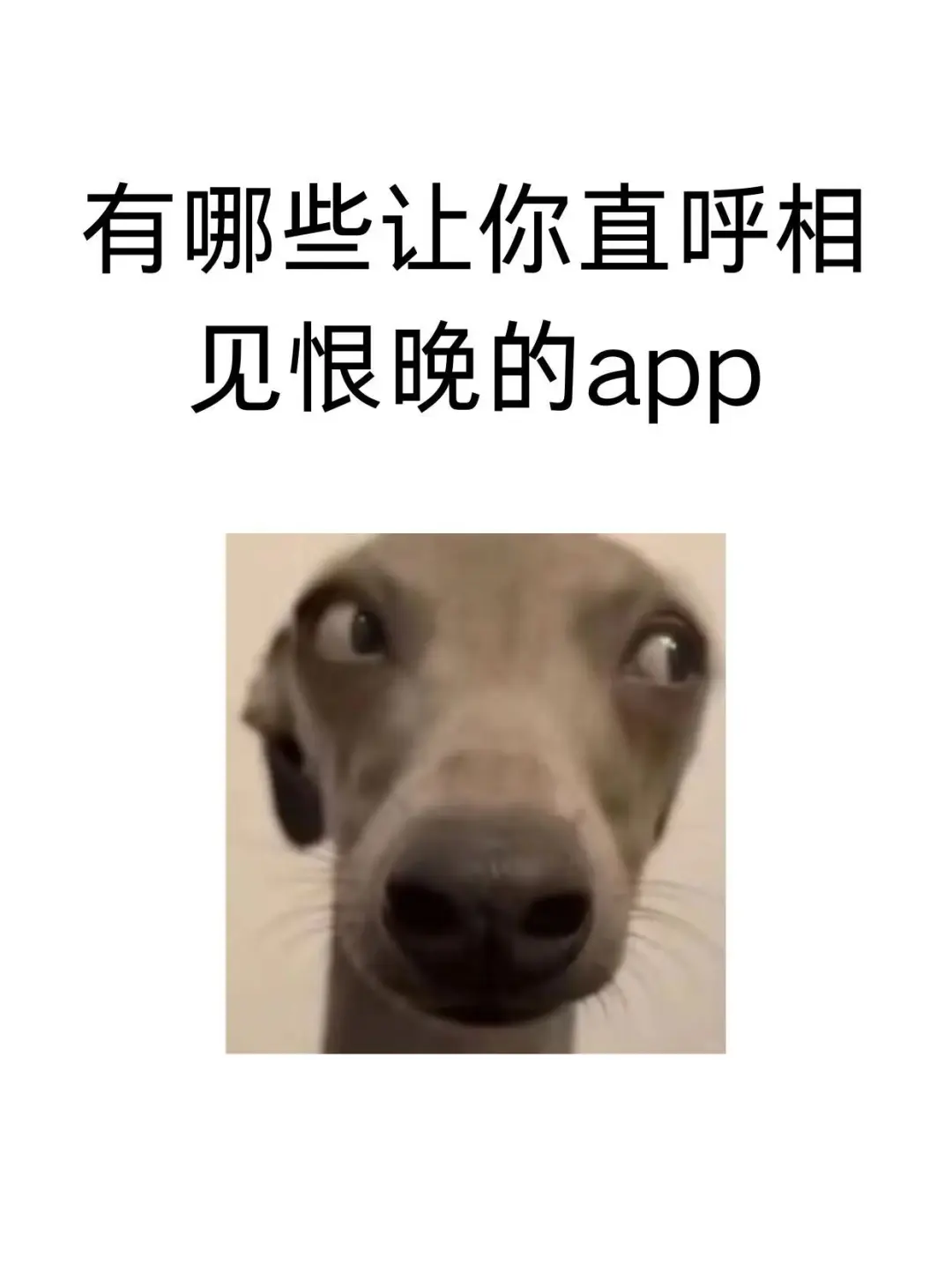 有哪些让你直呼相见恨晚的app