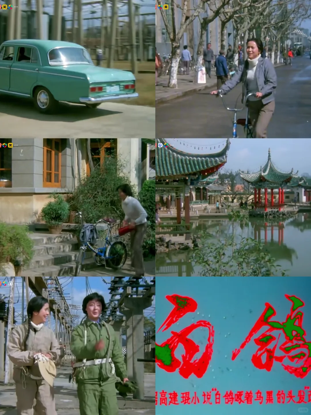 八十年代初电影🎥《白鸽》