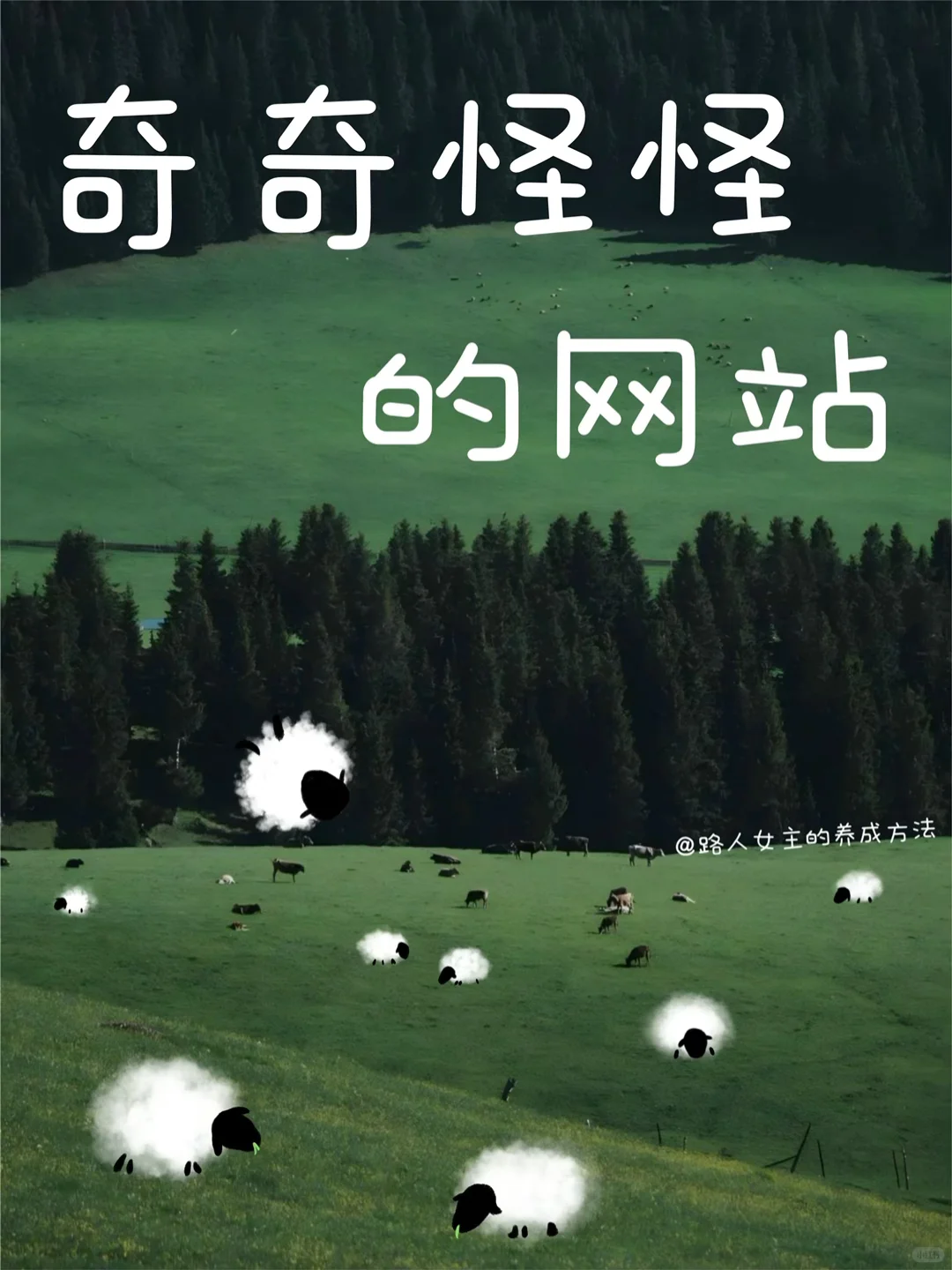 12个奇奇怪怪的网站，每个我都能玩一整天！！