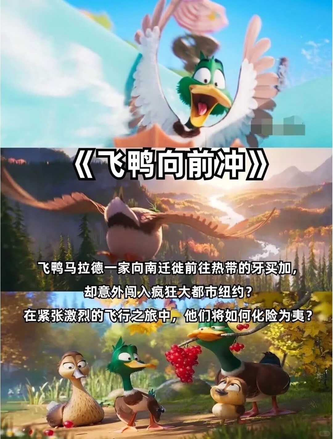 适合下班看的疗愈动漫电影🎬❗️❗️强烈推荐🔥