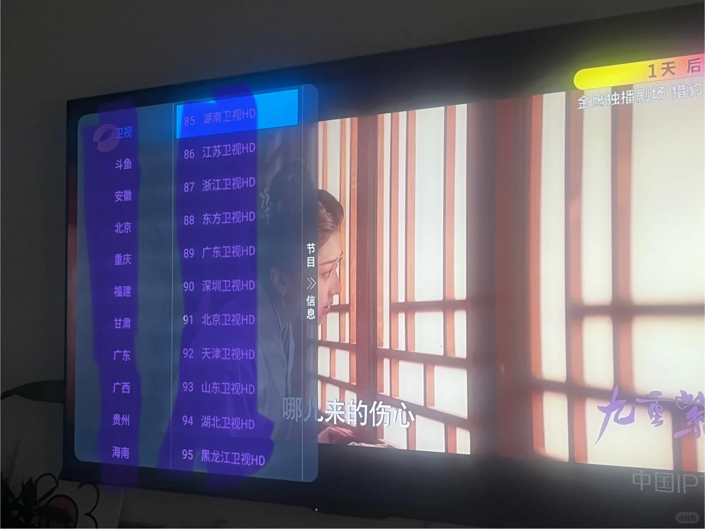 这款电视直播app太优秀了！