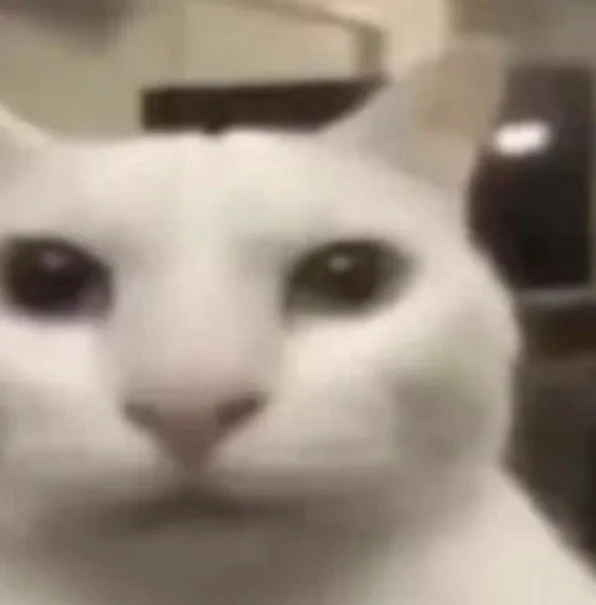 天塌了 雷神加速器 我的1820个小时