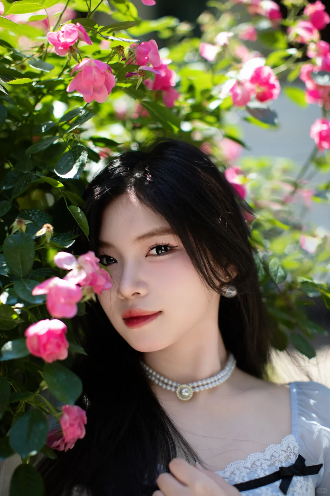 蔷薇香中美人绽