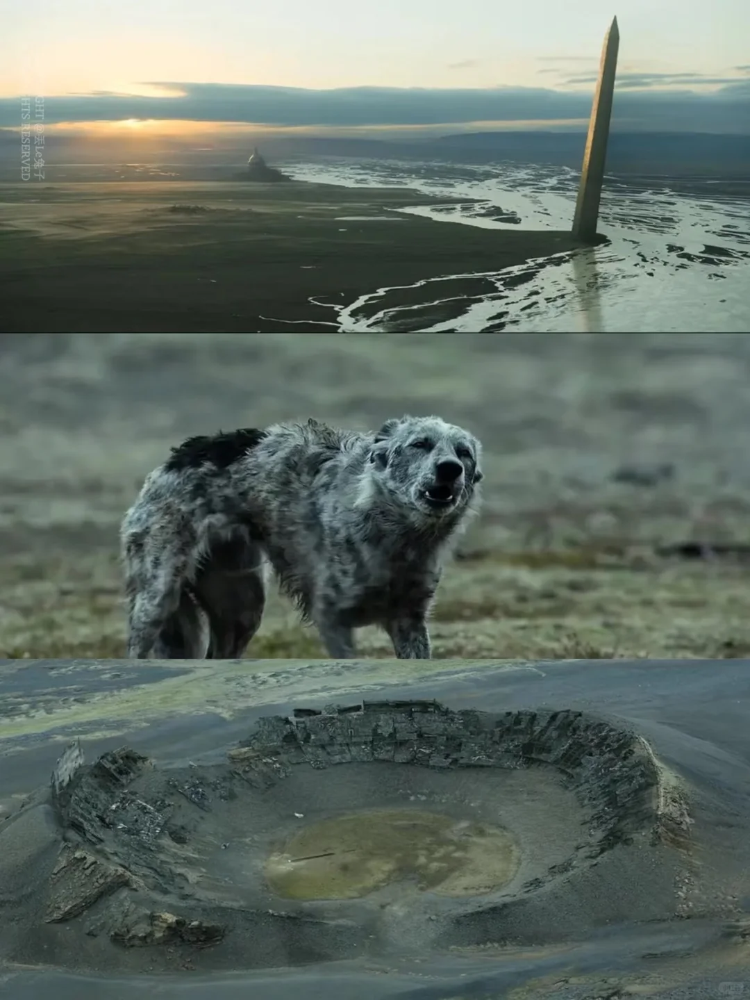 ⬜️末日废土❗️动作大片❗科幻迷必入‼️