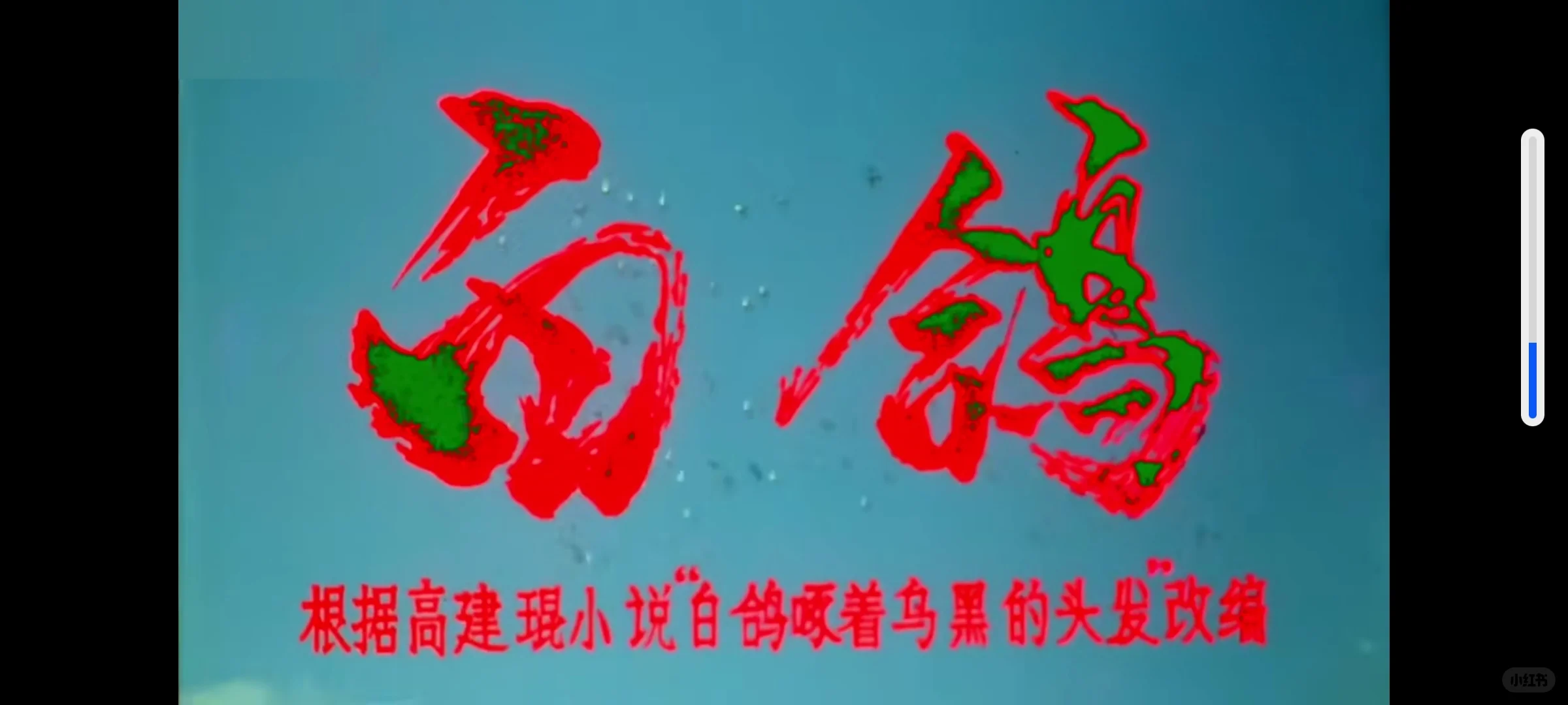 八十年代初电影🎥《白鸽》