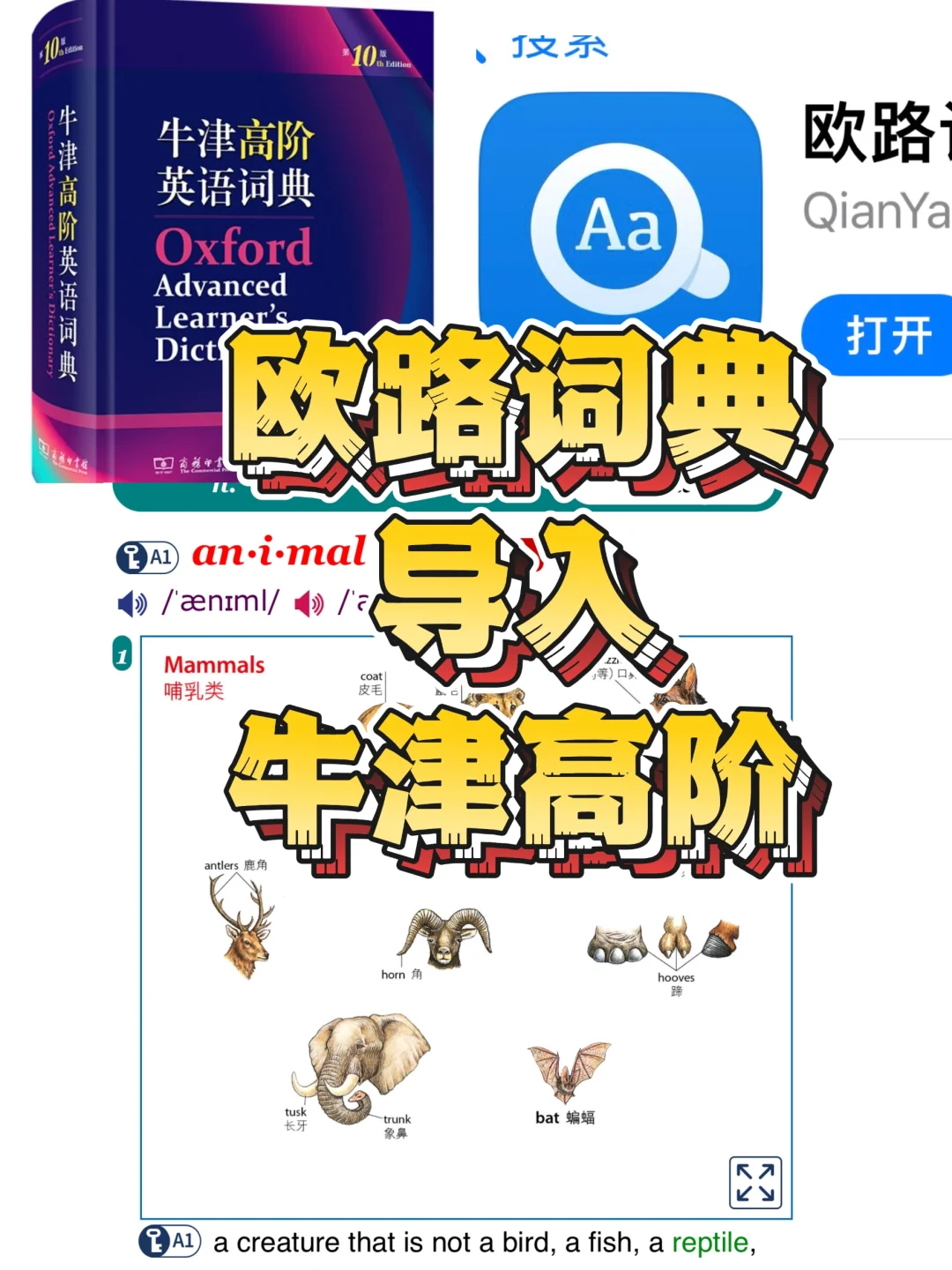 iOS欧路词典加入牛津10词典包是谁需要啊!!