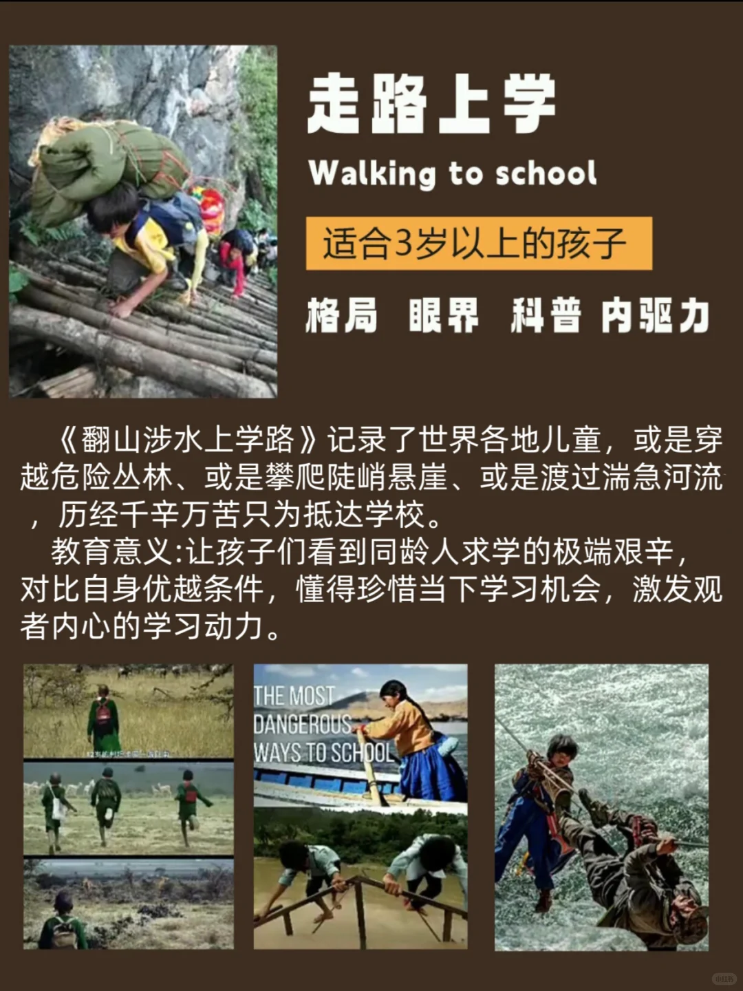 🔥宁可不上班，也要陪娃看的神级纪录片