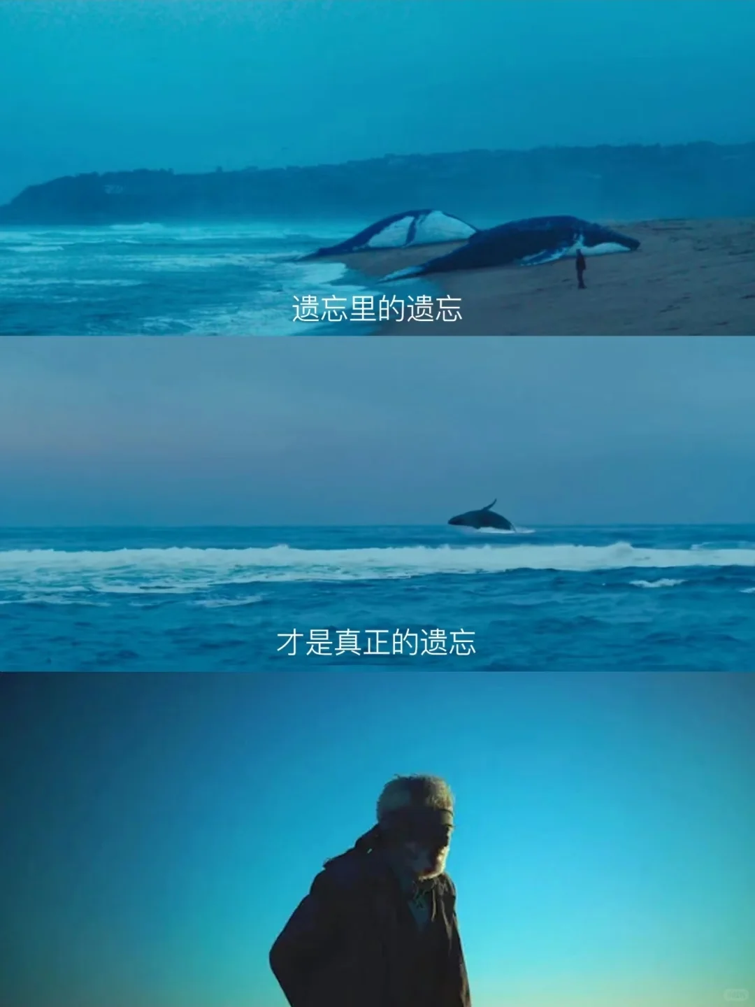 今年看过后劲最大的电影😭没有之一❗❗