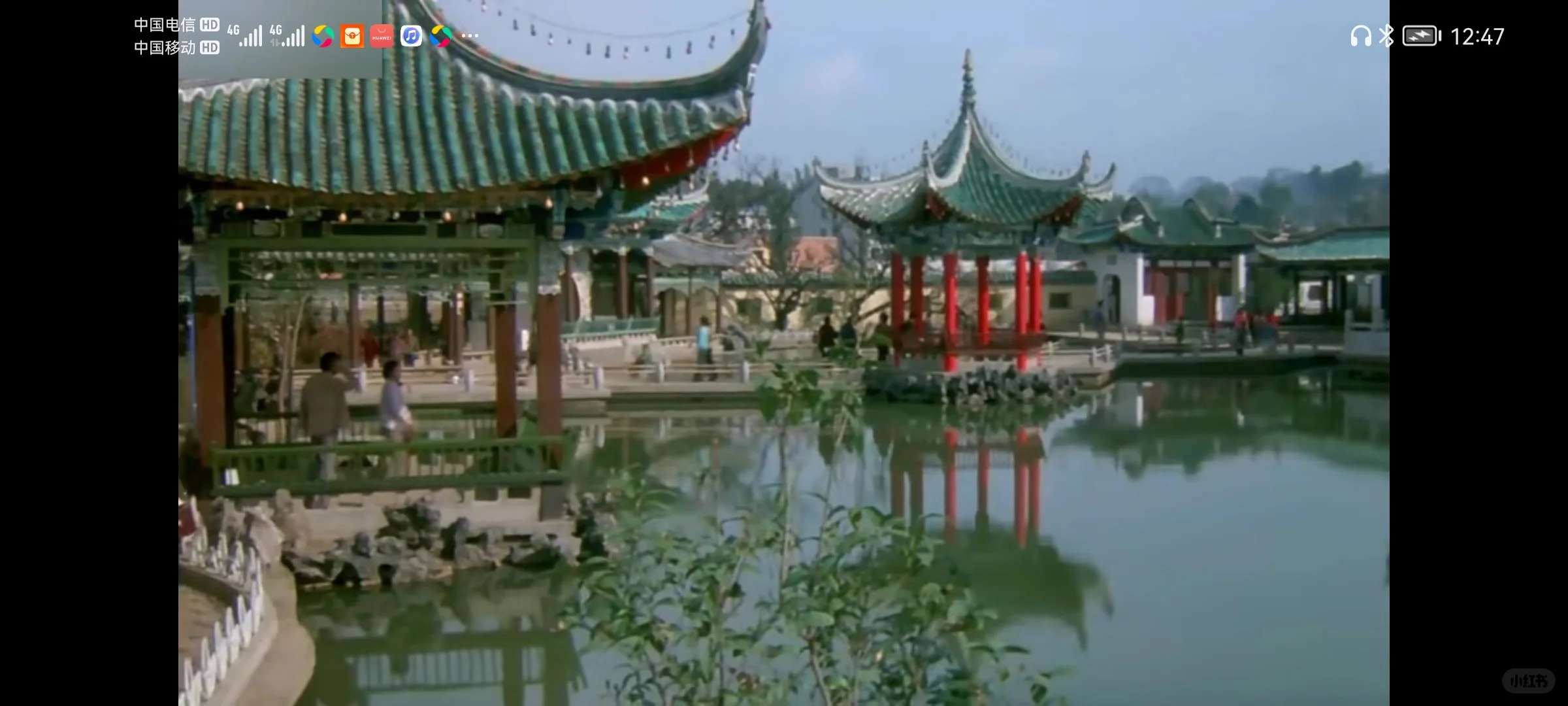 八十年代初电影🎥《白鸽》