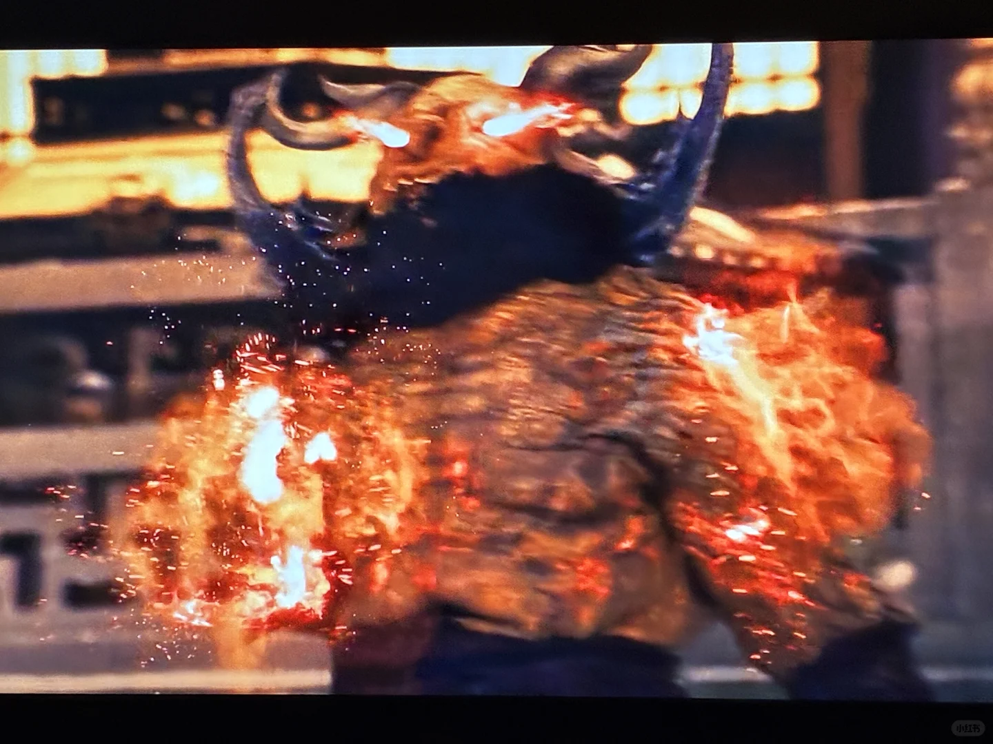 澳洲生活 凡人修仙传❤️