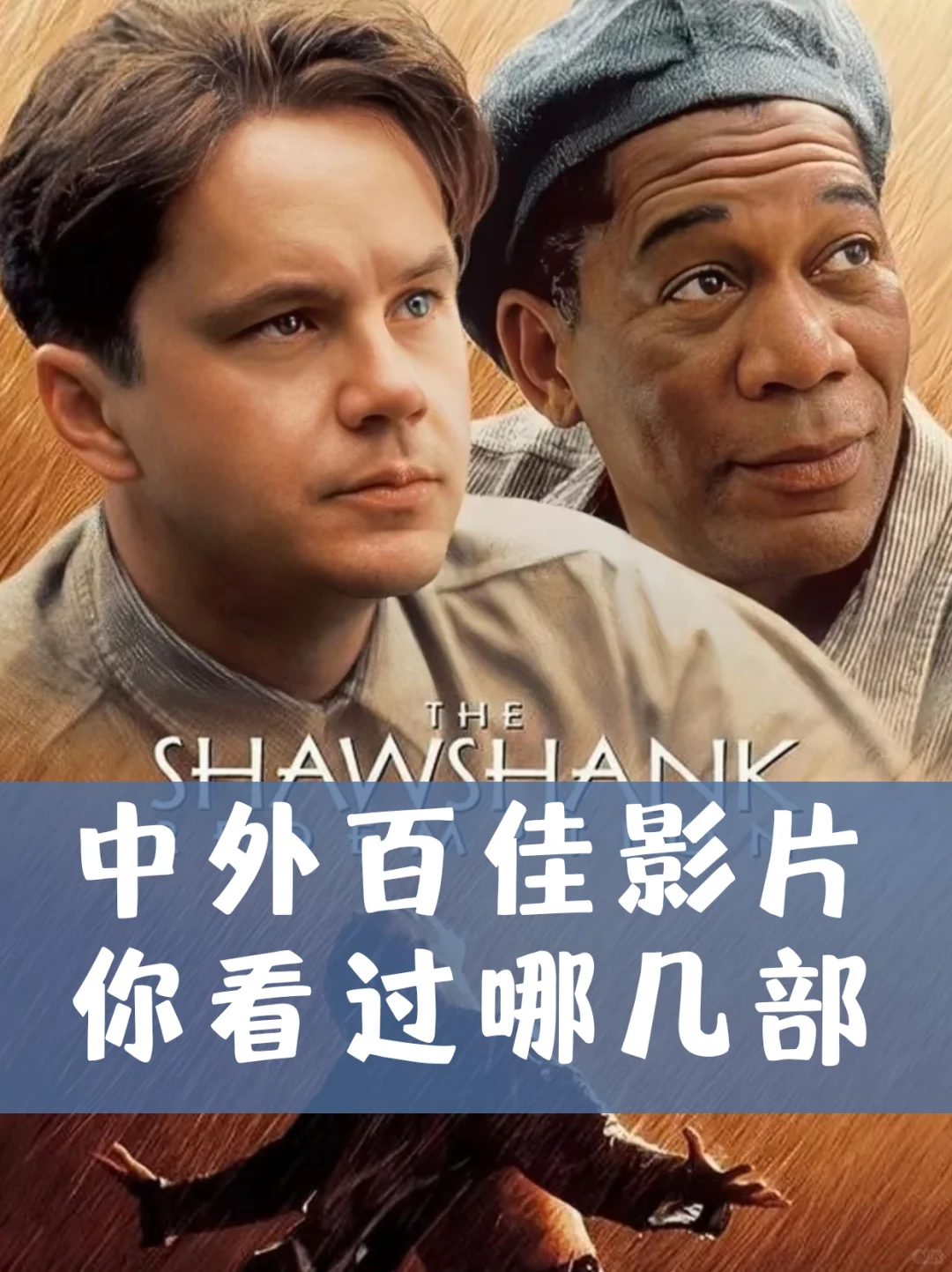 又闹影荒？不如看一看这些中外百佳影片