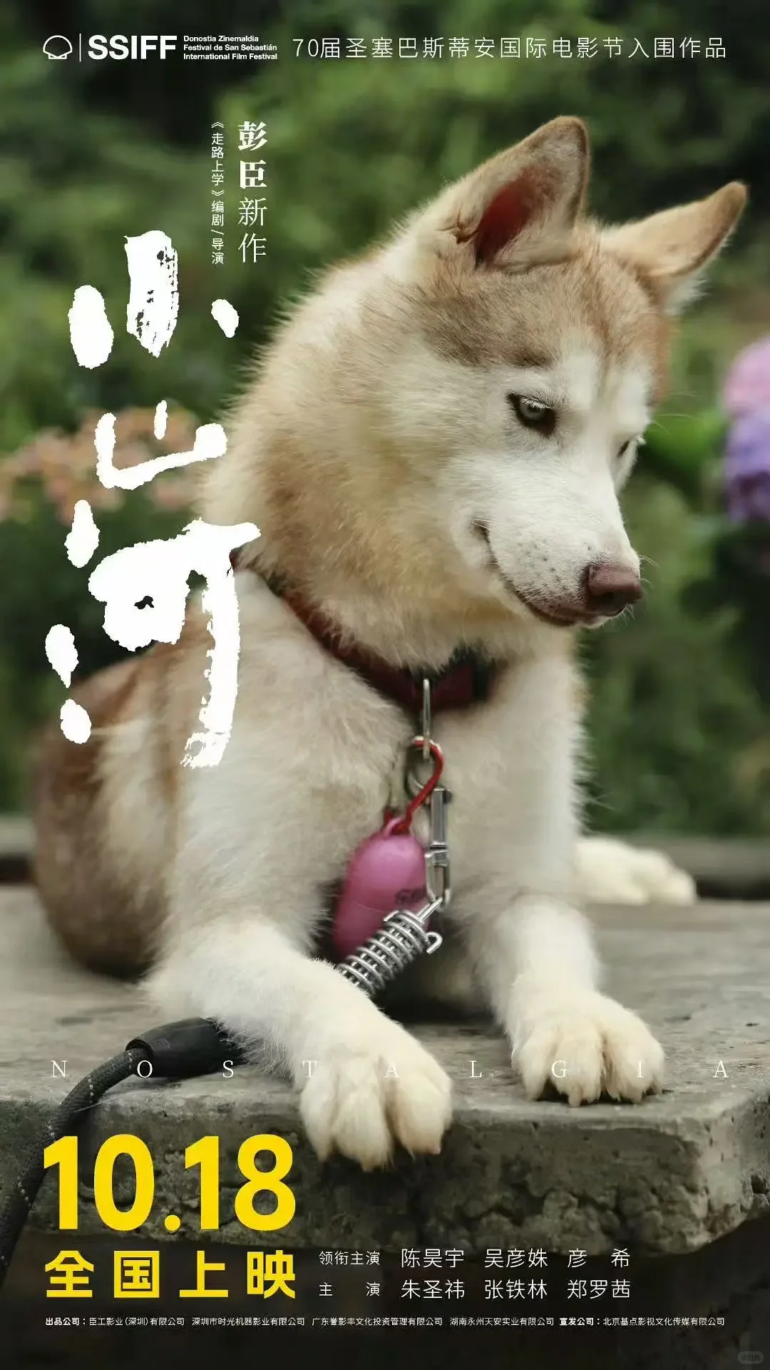 10.18暖心上映《小山河》治愈来袭