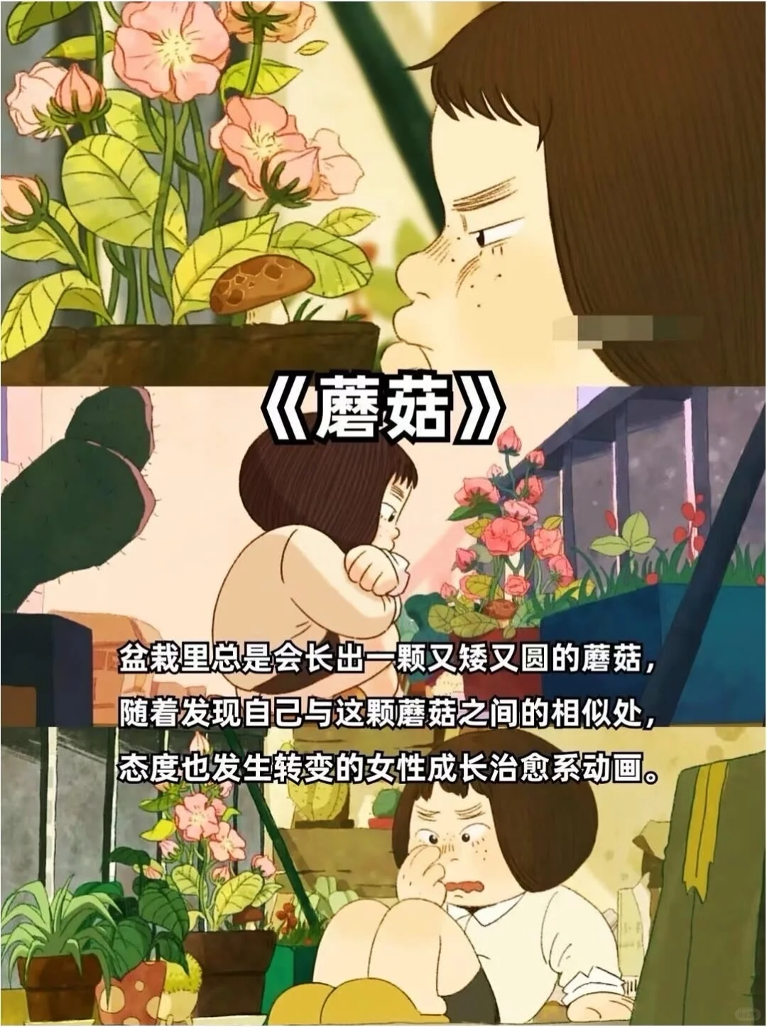 适合下班看的疗愈动漫电影🎬❗️❗️强烈推荐🔥