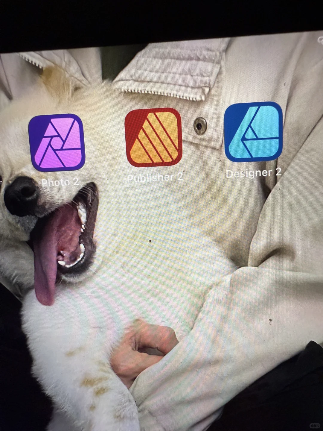 有ipad先领三个鸡蛋